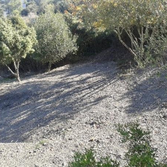  ODYSSEE - IMMO-DIFFUSION : Ground | CASCASTEL-DES-CORBIERES (11360) | 0 m2 | 65 000 € 