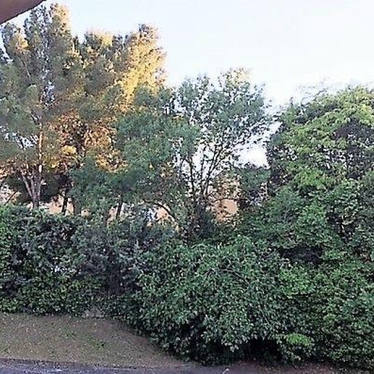  ODYSSEE - IMMO-DIFFUSION : Appartement | MONTPELLIER (34000) | 30 m2 | 475 € 