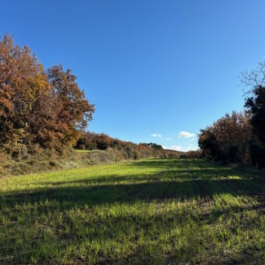  ODYSSEE - IMMO-DIFFUSION : Ground | UZES (30700) | 0 m2 | 57 000 € 