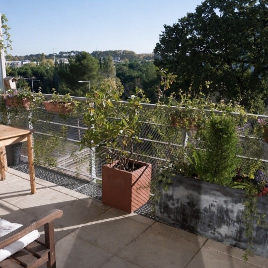  ODYSSEE - IMMO-DIFFUSION : Appartement | MONTPELLIER (34000) | 66 m2 | 300 000 &euro; 