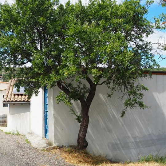  ODYSSEE - IMMO-DIFFUSION : Maison / Villa | CASCASTEL-DES-CORBIERES (11360) | 165 m2 | 340 000 € 