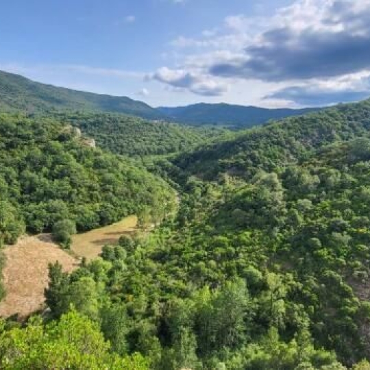 ODYSSEE - IMMO-DIFFUSION : Maison / Villa | QUINTILLAN (11360) | 156.00m2 | 365 000 € ODYSSEE - IMMO-DIFFUSION : Maison / Villa | QUINTILLAN (11360) | 156.00m2 | 365 000 €