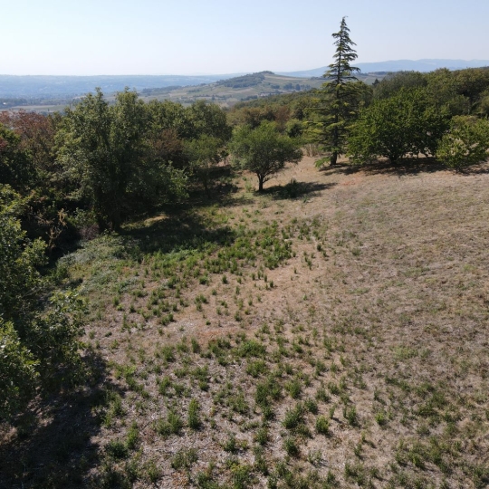 ODYSSEE - IMMO-DIFFUSION : Terrain | MARCY (69480) | m2 | 289 000 € 