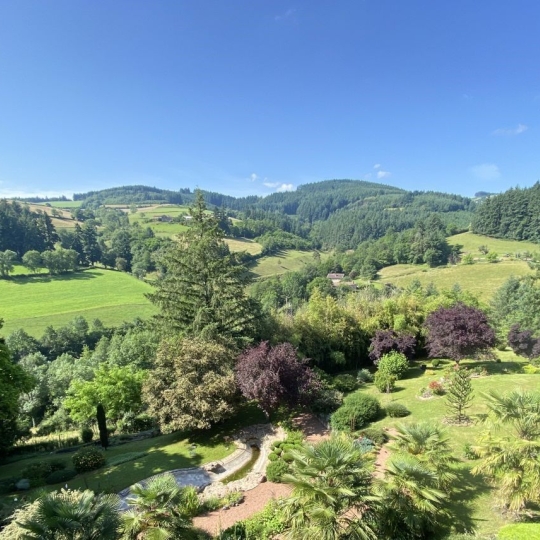  ODYSSEE - IMMO-DIFFUSION : Domaines / Propriétés | GRANDRIS (69870) | 315 m2 | 750 000 € 