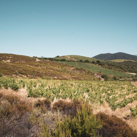  ODYSSEE - IMMO-DIFFUSION : Terrain | CASCASTEL-DES-CORBIERES (11360) | 107 m2 | 149 000 € 