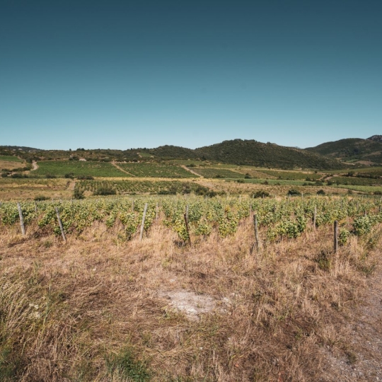  ODYSSEE - IMMO-DIFFUSION : Terrain | CASCASTEL-DES-CORBIERES (11360) | 107 m2 | 149 000 € 
