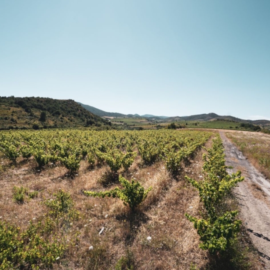  ODYSSEE - IMMO-DIFFUSION : Terrain | CASCASTEL-DES-CORBIERES (11360) | 107 m2 | 149 000 € 