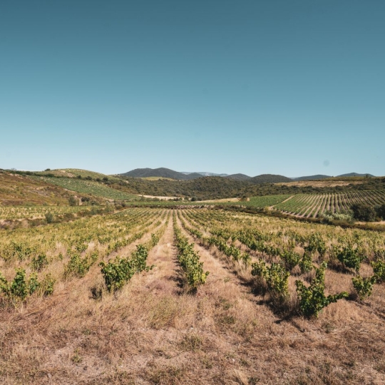  ODYSSEE - IMMO-DIFFUSION : Terrain | CASCASTEL-DES-CORBIERES (11360) | 107 m2 | 149 000 € 