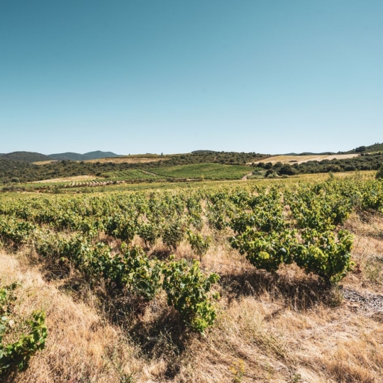  ODYSSEE - IMMO-DIFFUSION : Terrain | CASCASTEL-DES-CORBIERES (11360) | 107 m2 | 149 000 € 