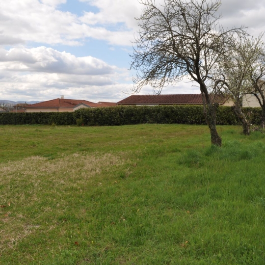  ODYSSEE - IMMO-DIFFUSION : Terrain | MONTMERLE-SUR-SAONE (01090) | 0 m2 | 200 000 € 