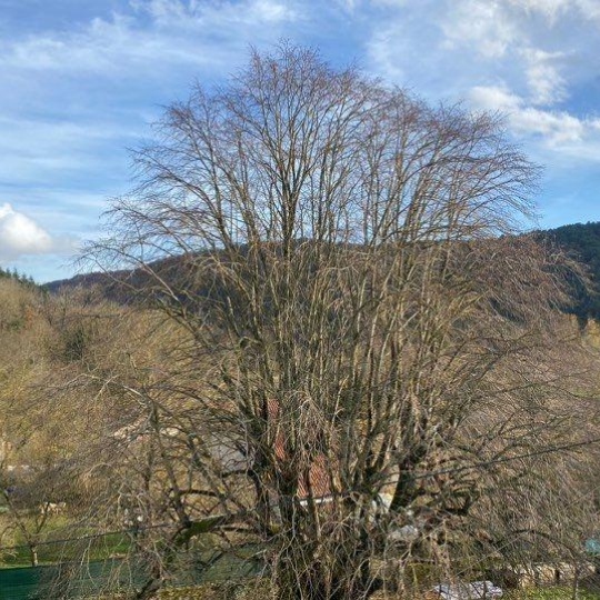  ODYSSEE - IMMO-DIFFUSION : Maison / Villa | SAUCLIERES (12230) | 110 m2 | 160 000 &euro; 