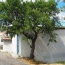  ODYSSEE - IMMO-DIFFUSION : Maison / Villa | CASCASTEL-DES-CORBIERES (11360) | 165 m2 | 340 000 € 