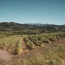  ODYSSEE - IMMO-DIFFUSION : Terrain | CASCASTEL-DES-CORBIERES (11360) | 107 m2 | 149 000 € 