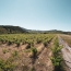  ODYSSEE - IMMO-DIFFUSION : Terrain | CASCASTEL-DES-CORBIERES (11360) | 107 m2 | 149 000 € 