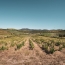  ODYSSEE - IMMO-DIFFUSION : Terrain | CASCASTEL-DES-CORBIERES (11360) | 107 m2 | 149 000 € 