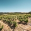  ODYSSEE - IMMO-DIFFUSION : Terrain | CASCASTEL-DES-CORBIERES (11360) | 107 m2 | 149 000 € 