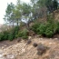  ODYSSEE - IMMO-DIFFUSION : Terrain | VILLESEQUE-DES-CORBIERES (11360) | 0 m2 | 39 000 € 