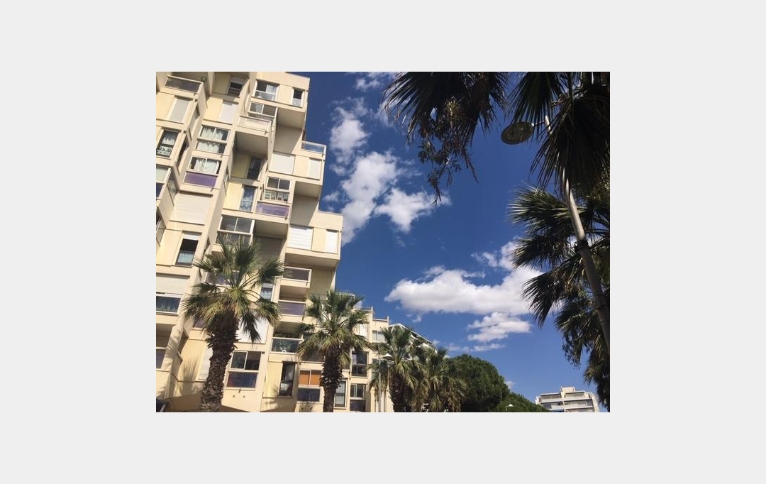 ODYSSEE - IMMO-DIFFUSION : Apartment | LA GRANDE-MOTTE (34280) | 56 m2 | 795 € 
