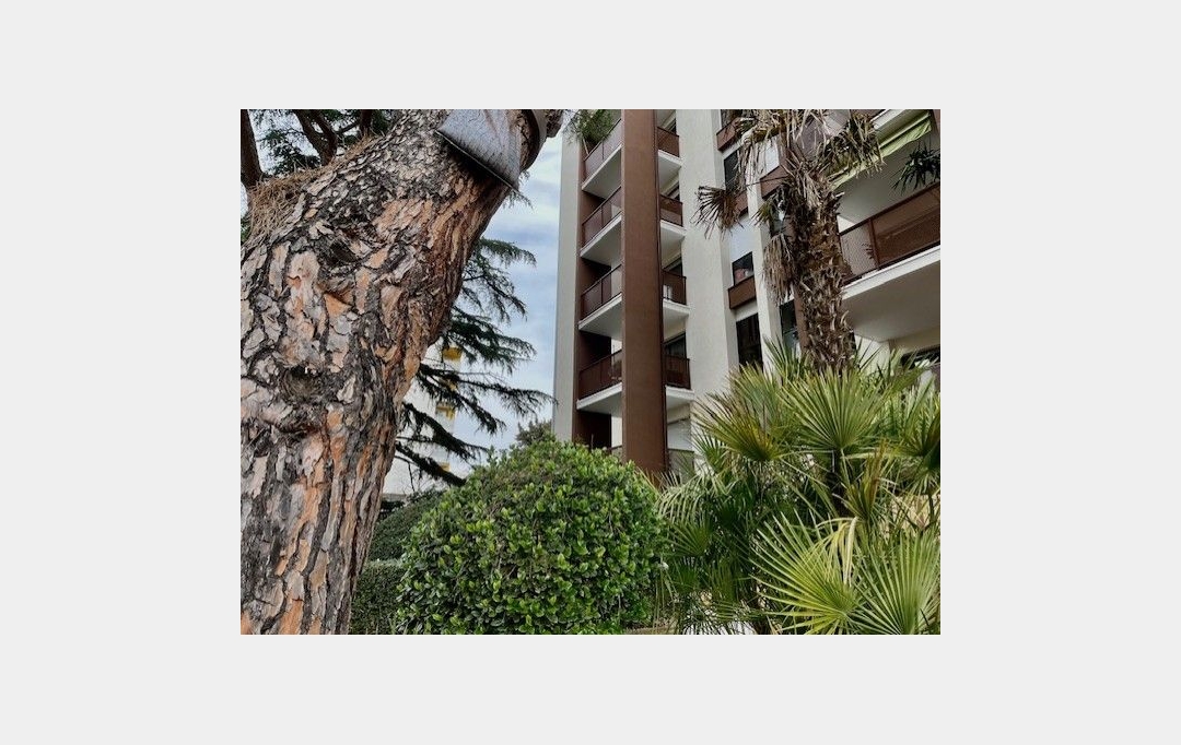 ODYSSEE - IMMO-DIFFUSION : Appartement | MONTPELLIER (34000) | 55 m2 | 273 000 € 