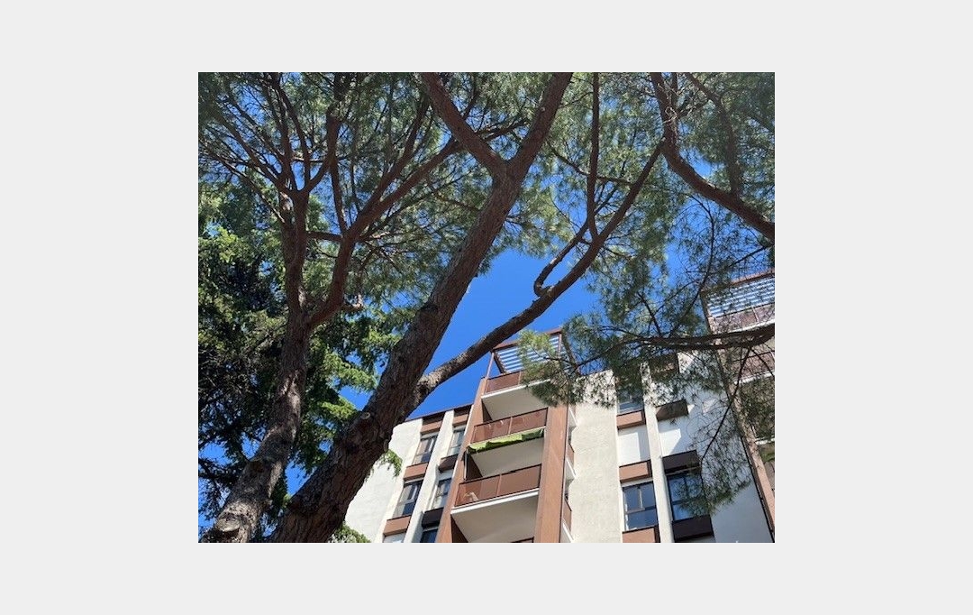 ODYSSEE - IMMO-DIFFUSION : Appartement | MONTPELLIER (34000) | 81 m2 | 199 500 € 