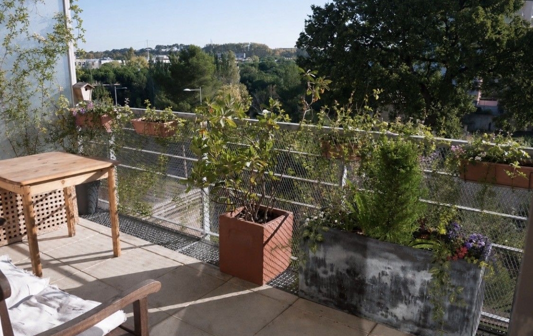 ODYSSEE - IMMO-DIFFUSION : Appartement | MONTPELLIER (34000) | 66 m2 | 300 000 &euro; 