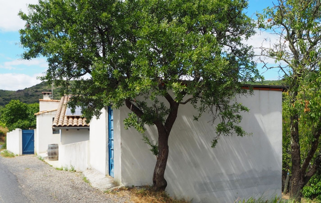ODYSSEE - IMMO-DIFFUSION : Maison / Villa | CASCASTEL-DES-CORBIERES (11360) | 165 m2 | 340 000 € 
