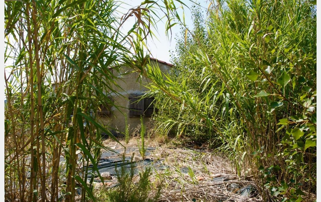 ODYSSEE - IMMO-DIFFUSION : Terrain | PEYRIAC-DE-MER (11440) | 70 m2 | 95 000 € 