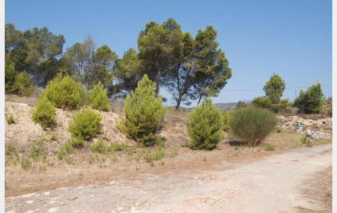 ODYSSEE - IMMO-DIFFUSION : Terrain | PEYRIAC-DE-MER (11440) | 70 m2 | 95 000 € 