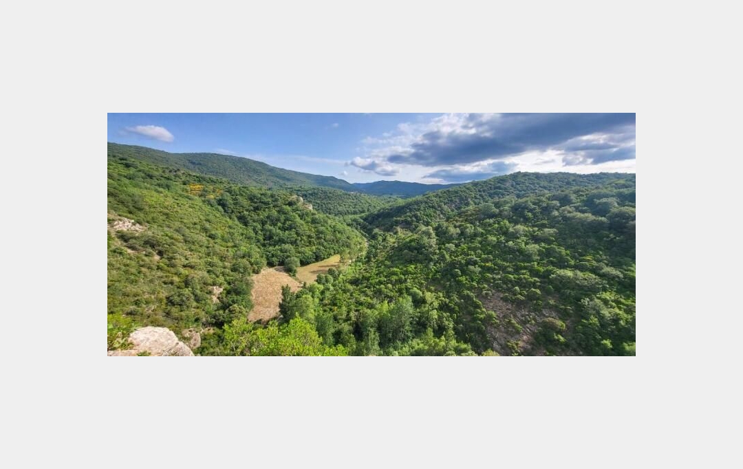 ODYSSEE - IMMO-DIFFUSION : Maison / Villa | QUINTILLAN (11360) | 156 m2 | 365 000 € 