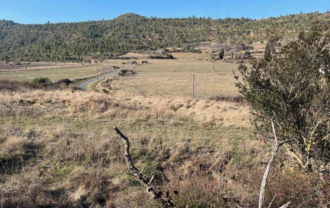 ODYSSEE - IMMO-DIFFUSION : Terrain | ALBAS (11360) | 0 m2 | 72 000 € 