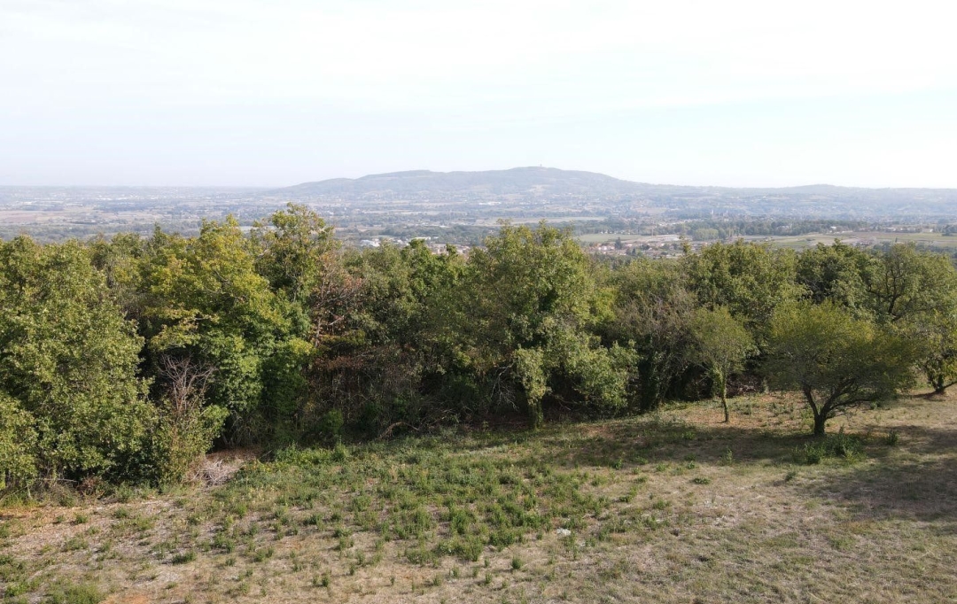 ODYSSEE - IMMO-DIFFUSION : Terrain | MARCY (69480) | 0 m2 | 289 000 € 