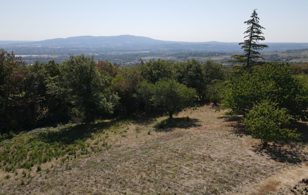 ODYSSEE - IMMO-DIFFUSION : Terrain | MARCY (69480) | 0 m2 | 289 000 € 
