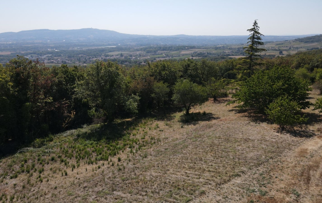 ODYSSEE - IMMO-DIFFUSION : Terrain | MARCY (69480) | 0 m2 | 289 000 € 