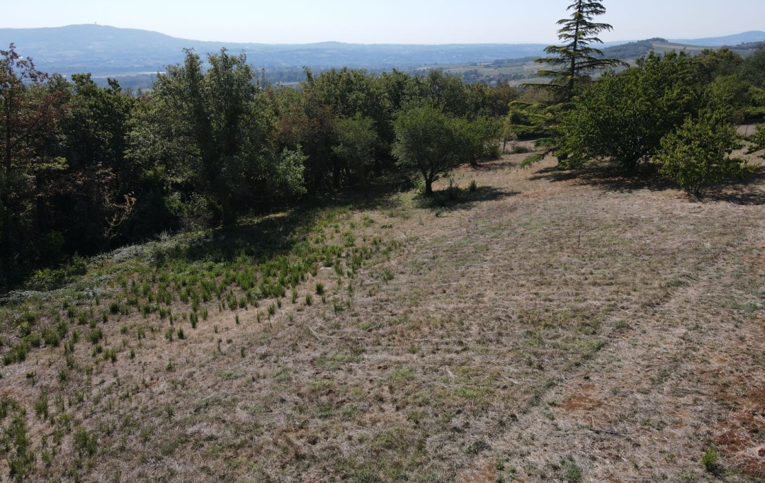 ODYSSEE - IMMO-DIFFUSION : Terrain | MARCY (69480) | 0 m2 | 289 000 € 