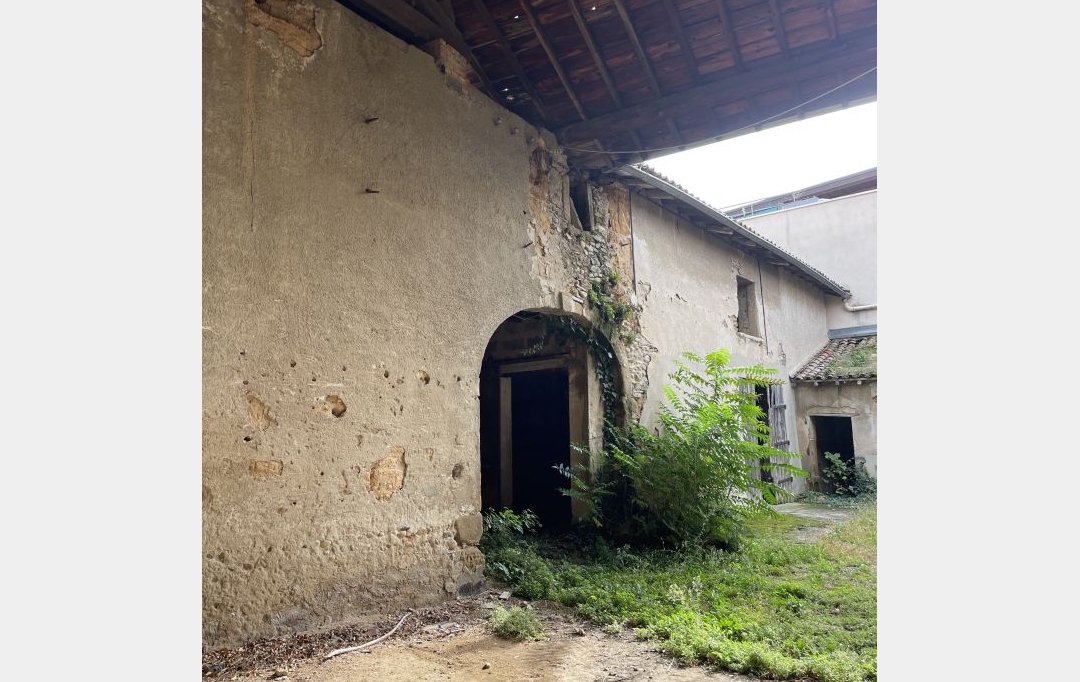 ODYSSEE - IMMO-DIFFUSION : Autres | SOLAIZE (69360) | 200 m2 | 210 000 € 