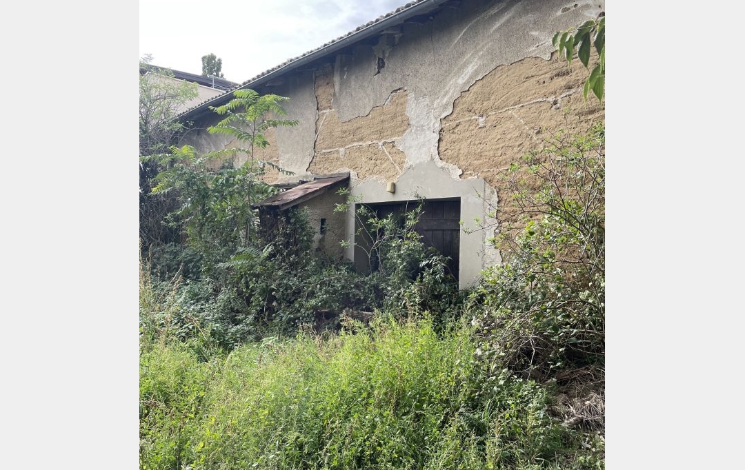 ODYSSEE - IMMO-DIFFUSION : Autres | SOLAIZE (69360) | 200 m2 | 210 000 € 
