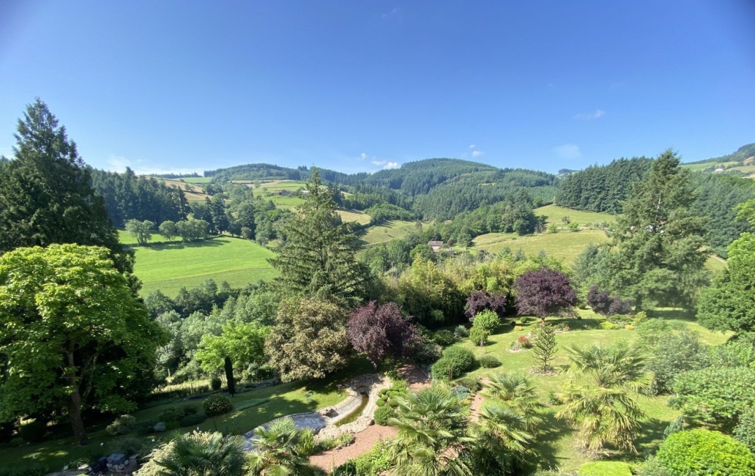 ODYSSEE - IMMO-DIFFUSION : Domaines / Propriétés | GRANDRIS (69870) | 315 m2 | 750 000 € 