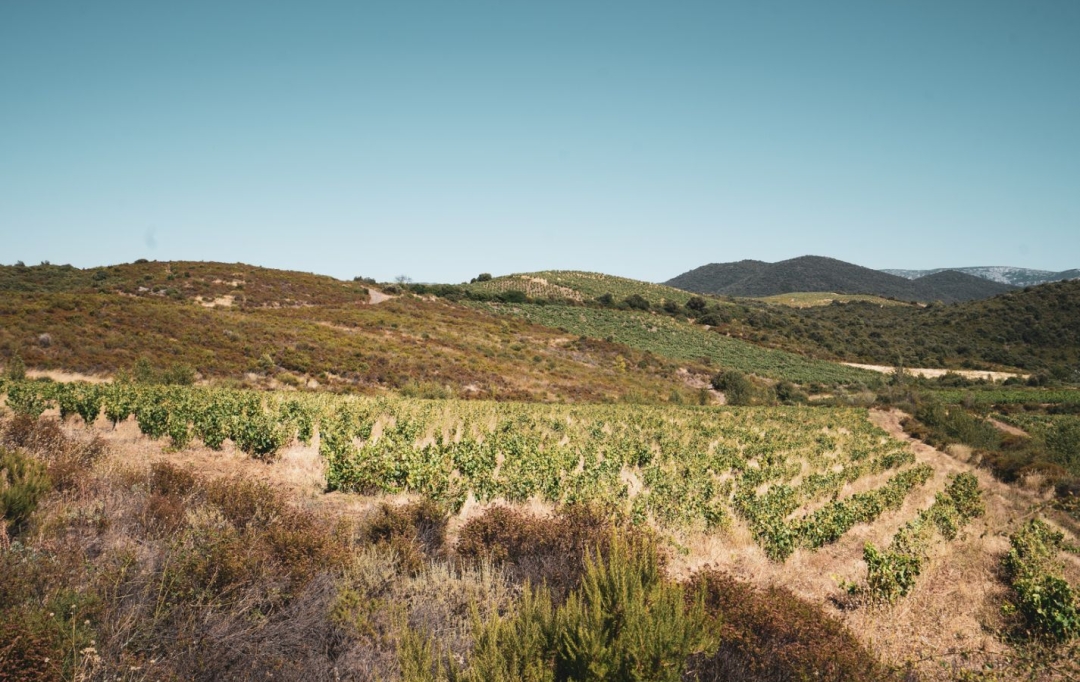 ODYSSEE - IMMO-DIFFUSION : Terrain | CASCASTEL-DES-CORBIERES (11360) | 107 m2 | 149 000 € 