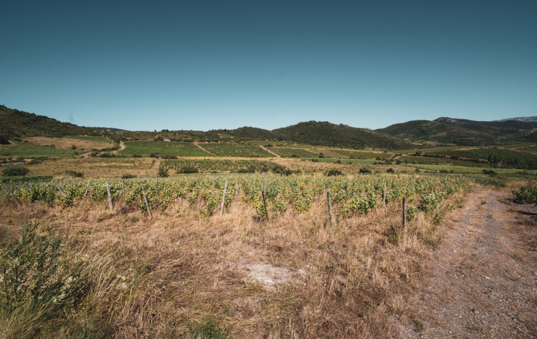 ODYSSEE - IMMO-DIFFUSION : Terrain | CASCASTEL-DES-CORBIERES (11360) | 107 m2 | 149 000 € 