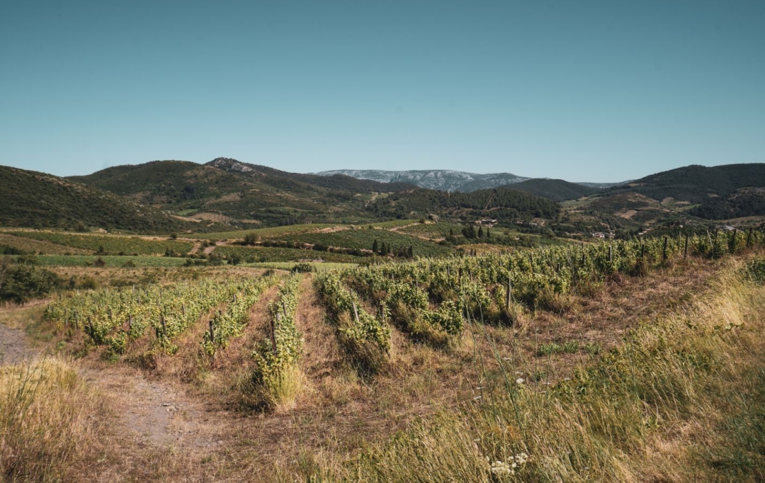 ODYSSEE - IMMO-DIFFUSION : Terrain | CASCASTEL-DES-CORBIERES (11360) | 107 m2 | 149 000 € 
