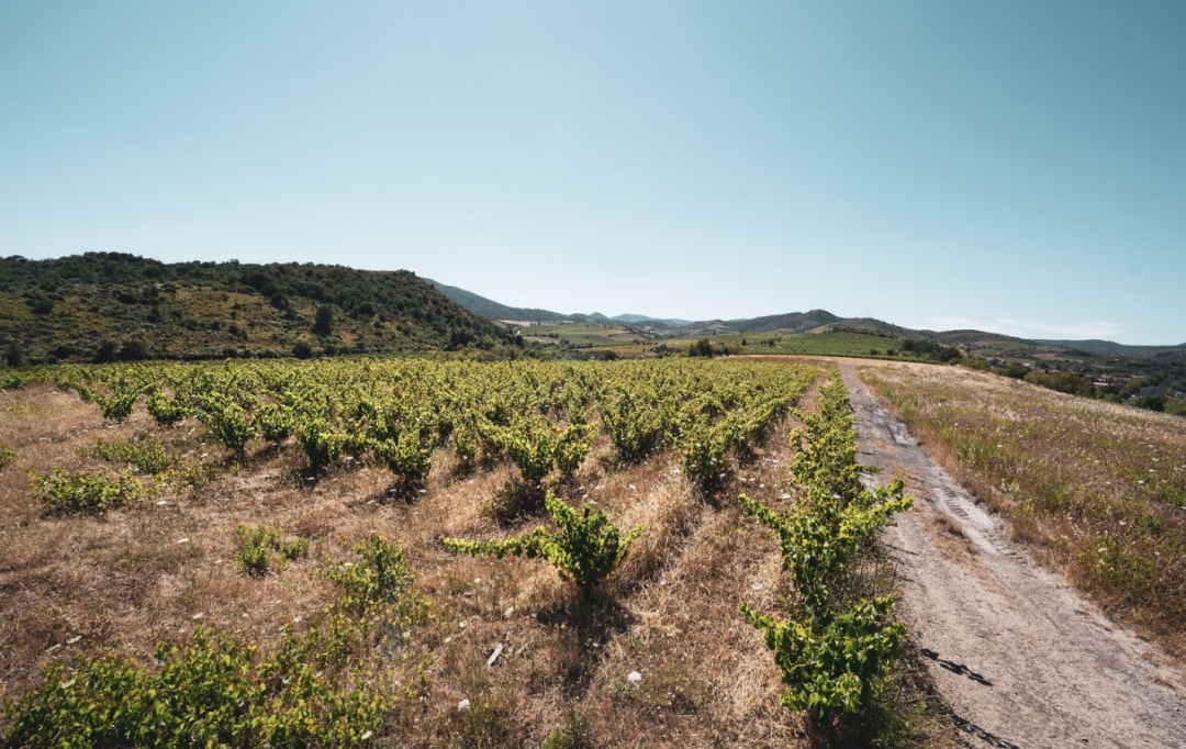 ODYSSEE - IMMO-DIFFUSION : Terrain | CASCASTEL-DES-CORBIERES (11360) | 107 m2 | 149 000 € 