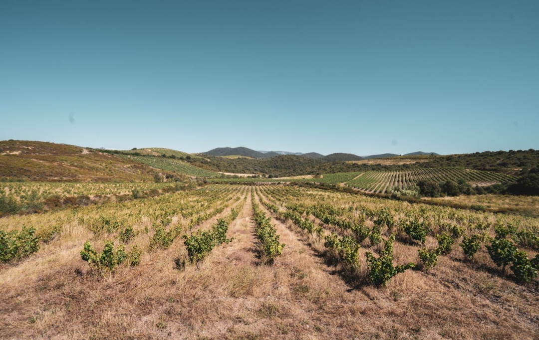 ODYSSEE - IMMO-DIFFUSION : Terrain | CASCASTEL-DES-CORBIERES (11360) | 107 m2 | 149 000 € 