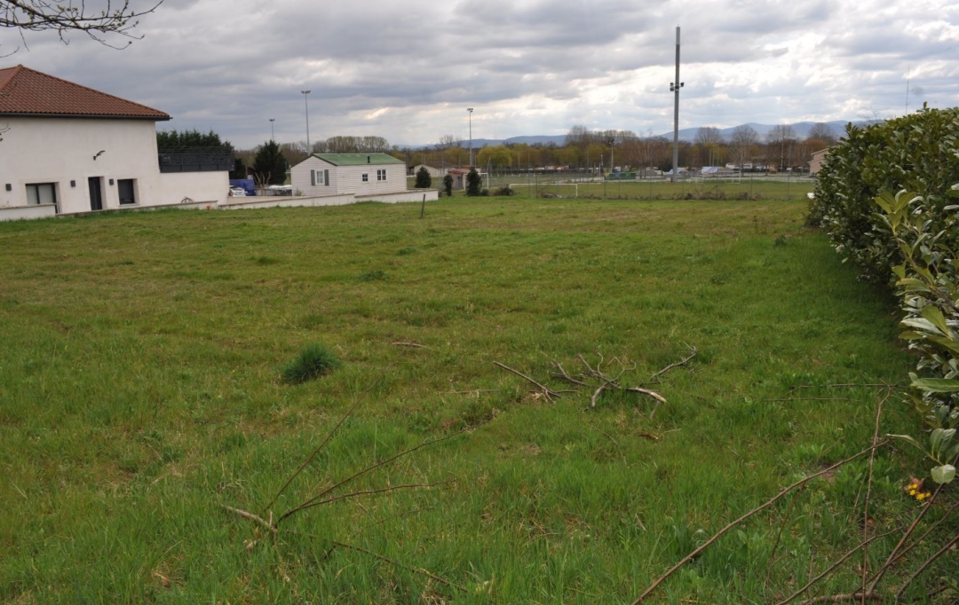ODYSSEE - IMMO-DIFFUSION : Terrain | MONTMERLE-SUR-SAONE (01090) | 0 m2 | 200 000 € 
