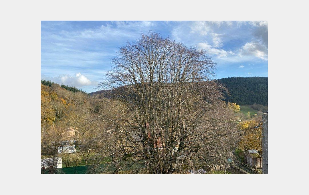 ODYSSEE - IMMO-DIFFUSION : Maison / Villa | SAUCLIERES (12230) | 110 m2 | 160 000 &euro; 
