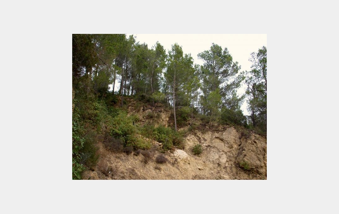 ODYSSEE - IMMO-DIFFUSION : Terrain | VILLESEQUE-DES-CORBIERES (11360) | 0 m2 | 39 000 € 
