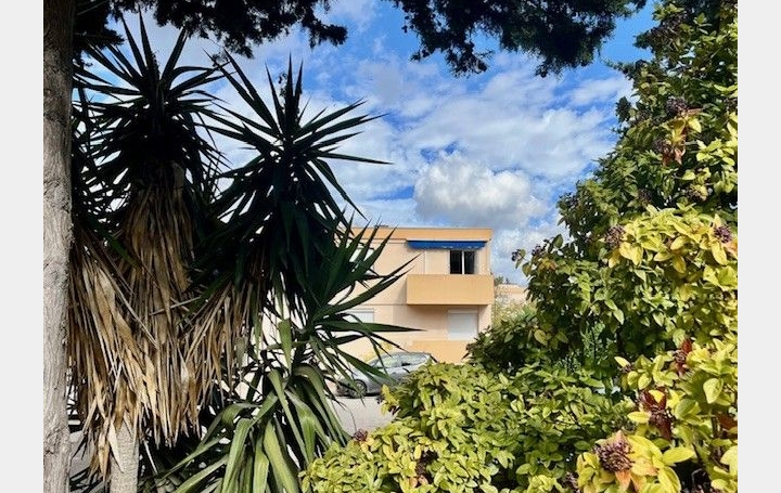 Appartement P3   MONTPELLIER  78 m2 1 250 € 