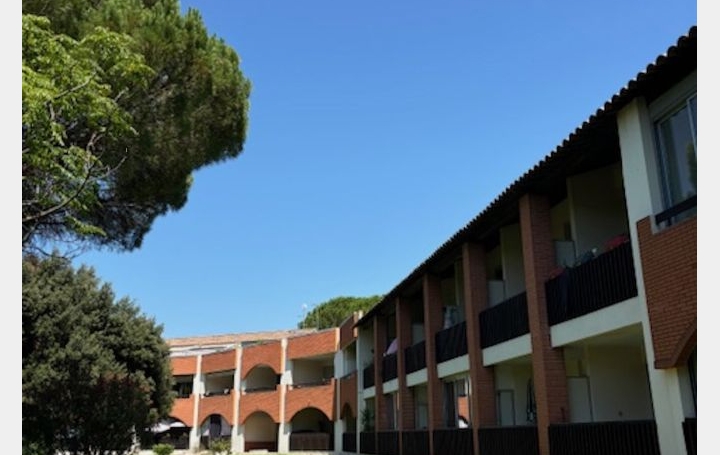 Appartement P1   NIMES  27 m2 640 € 