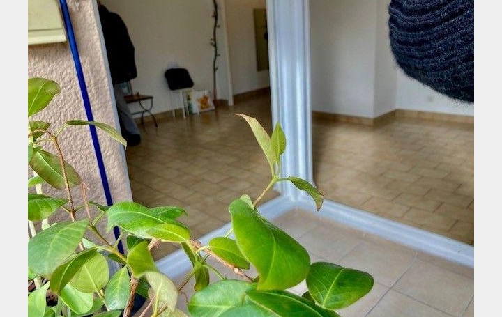 ODYSSEE - IMMO-DIFFUSION : Appartement | MONTPELLIER (34000) | 45 m2 | 171 000 € 