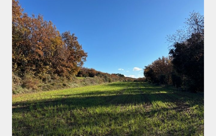  ODYSSEE - IMMO-DIFFUSION Terrain | UZES (30700) | 0 m2 | 57 000 € 