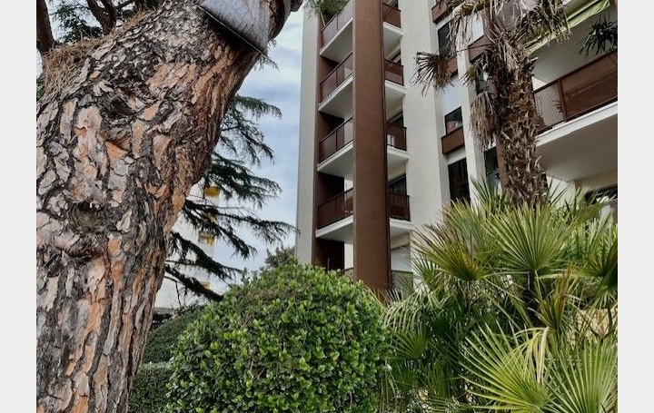  ODYSSEE - IMMO-DIFFUSION Appartement | MONTPELLIER (34000) | 55 m2 | 273 000 € 
